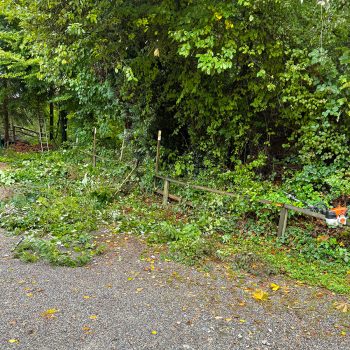 ARMIN-Hausmeisterdienst Bäume schneiden