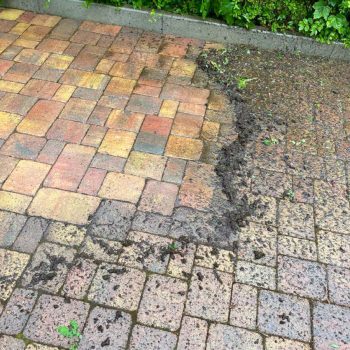 ARMIN-Hausmeisterdienst Pflastersteine putzen